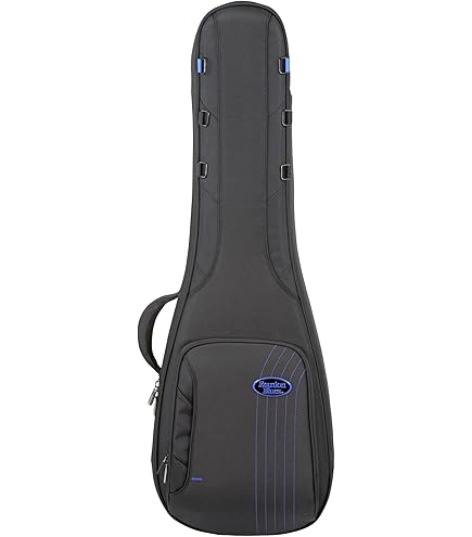 Amazon.com: Reunion Blues RBXOB4 RBX Oxford Series Bass Bag